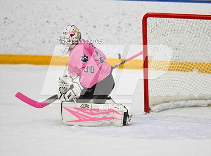 Thumbnail 2 in Pittsford @ Fairport photogallery.