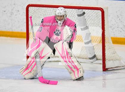 Thumbnail 1 in Pittsford @ Fairport photogallery.
