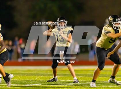 Thumbnail 3 in Wando @ Socastee photogallery.
