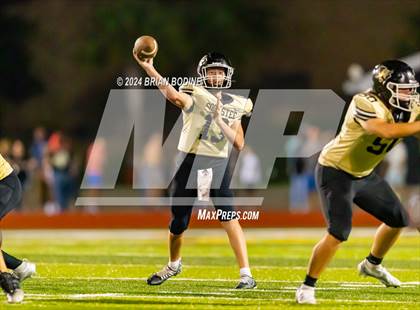 Thumbnail 1 in Wando @ Socastee photogallery.
