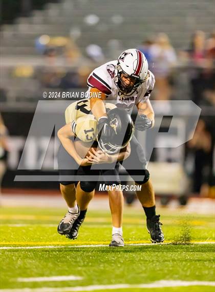 Thumbnail 3 in Wando @ Socastee photogallery.