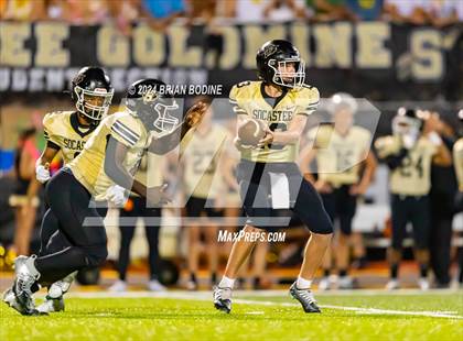 Thumbnail 3 in Wando @ Socastee photogallery.