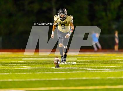 Thumbnail 3 in Wando @ Socastee photogallery.