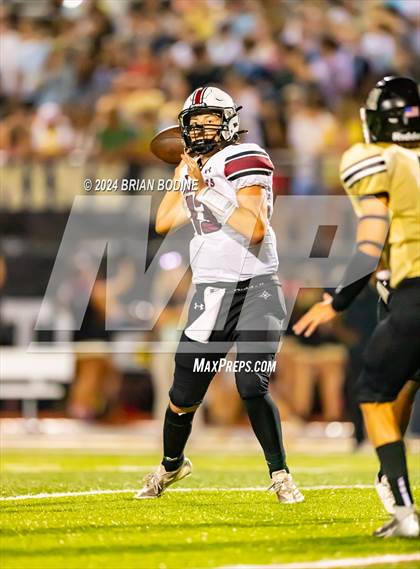 Thumbnail 3 in Wando @ Socastee photogallery.