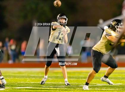 Thumbnail 2 in Wando @ Socastee photogallery.