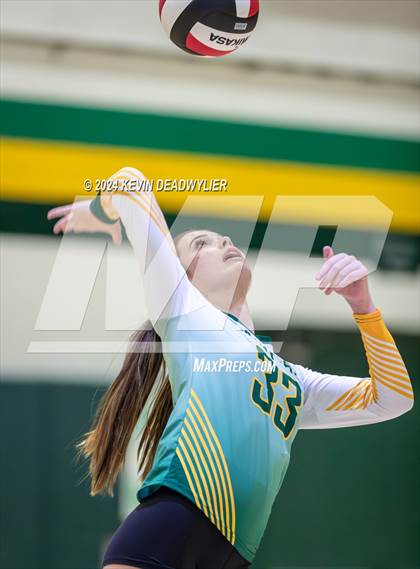 Thumbnail 1 in Royal @ Moorpark photogallery.