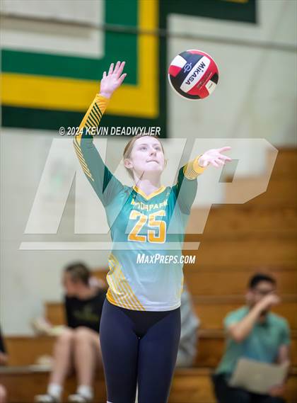 Thumbnail 2 in Royal @ Moorpark photogallery.