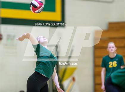 Thumbnail 1 in Royal @ Moorpark photogallery.