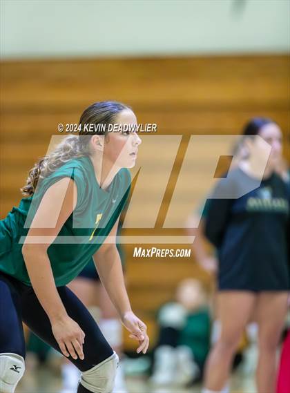 Thumbnail 1 in Royal @ Moorpark photogallery.