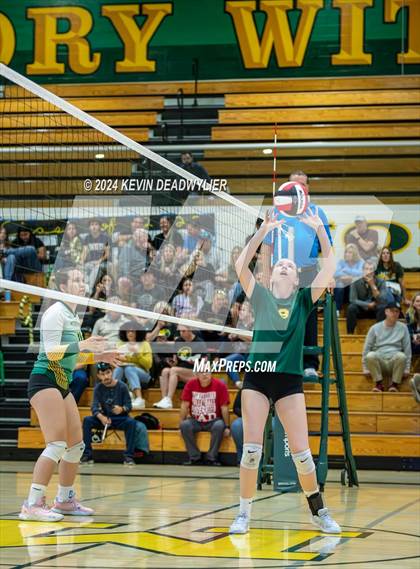 Thumbnail 1 in Royal @ Moorpark photogallery.