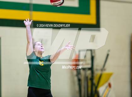 Thumbnail 3 in Royal @ Moorpark photogallery.