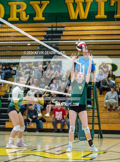 Thumbnail 2 in Royal @ Moorpark photogallery.
