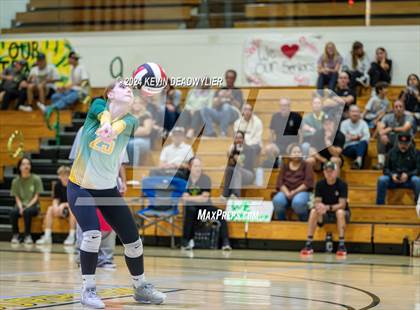 Thumbnail 1 in Royal @ Moorpark photogallery.
