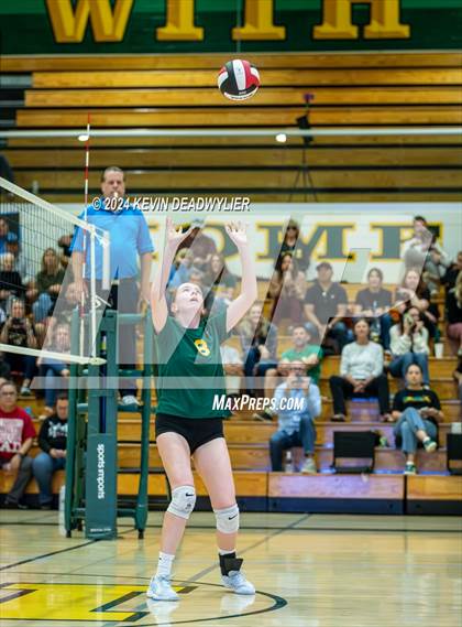 Thumbnail 1 in Royal @ Moorpark photogallery.