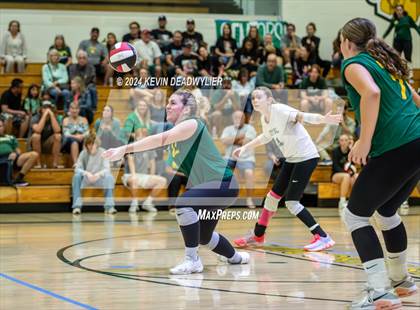 Thumbnail 2 in Royal @ Moorpark photogallery.