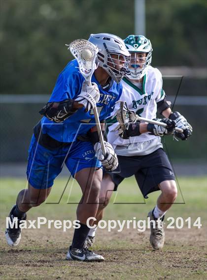 Thumbnail 1 in Lackey @ Patuxent photogallery.