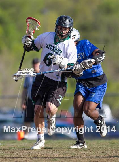 Thumbnail 3 in Lackey @ Patuxent photogallery.