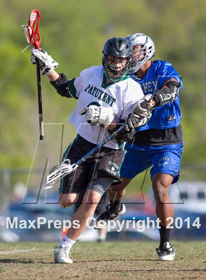 Thumbnail 1 in Lackey @ Patuxent photogallery.