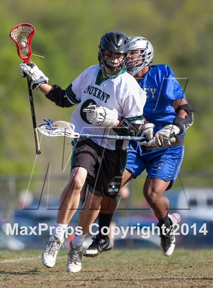 Thumbnail 2 in Lackey @ Patuxent photogallery.