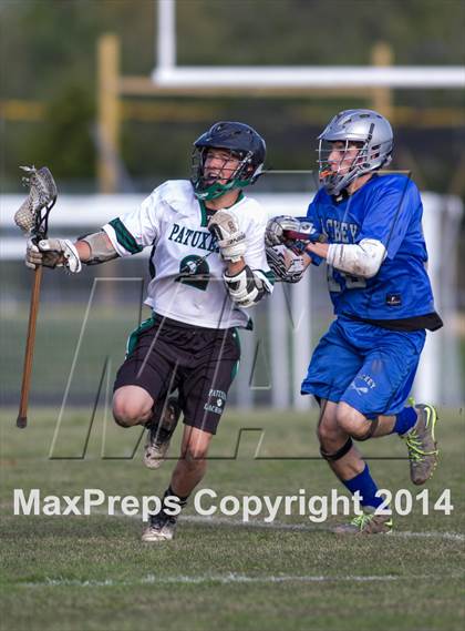 Thumbnail 1 in Lackey @ Patuxent photogallery.