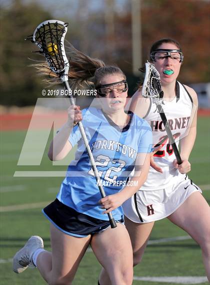 Thumbnail 2 in Yorktown @ Herndon photogallery.