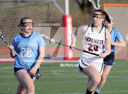 Thumbnail 3 in Yorktown @ Herndon photogallery.