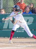Photo from the gallery "Whitney vs. Rocklin"