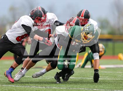 Thumbnail 1 in Alexander vs. Bolivar-Richburg (Section 5 Class D Semifinal) photogallery.