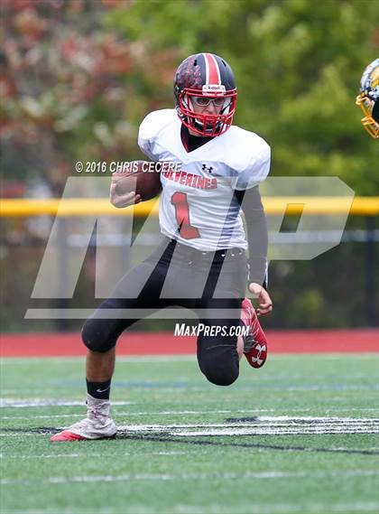 Thumbnail 3 in Alexander vs. Bolivar-Richburg (Section 5 Class D Semifinal) photogallery.