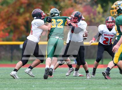 Thumbnail 3 in Alexander vs. Bolivar-Richburg (Section 5 Class D Semifinal) photogallery.
