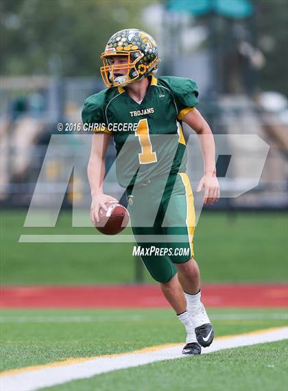 Thumbnail 2 in Alexander vs. Bolivar-Richburg (Section 5 Class D Semifinal) photogallery.