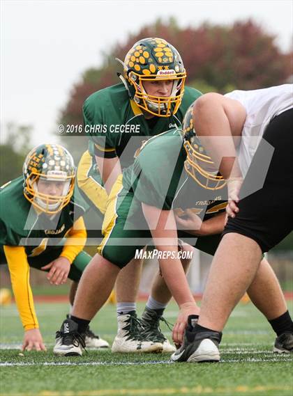 Thumbnail 2 in Alexander vs. Bolivar-Richburg (Section 5 Class D Semifinal) photogallery.