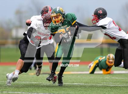 Thumbnail 2 in Alexander vs. Bolivar-Richburg (Section 5 Class D Semifinal) photogallery.