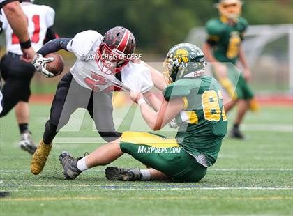 Thumbnail 3 in Alexander vs. Bolivar-Richburg (Section 5 Class D Semifinal) photogallery.