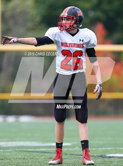 Thumbnail 1 in Alexander vs. Bolivar-Richburg (Section 5 Class D Semifinal) photogallery.