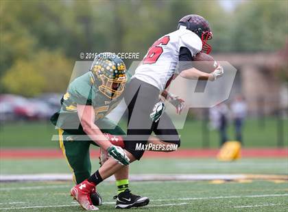 Thumbnail 1 in Alexander vs. Bolivar-Richburg (Section 5 Class D Semifinal) photogallery.