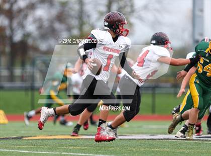 Thumbnail 3 in Alexander vs. Bolivar-Richburg (Section 5 Class D Semifinal) photogallery.