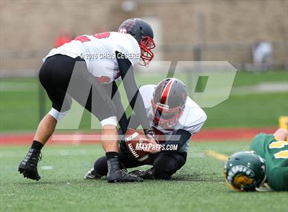 Thumbnail 2 in Alexander vs. Bolivar-Richburg (Section 5 Class D Semifinal) photogallery.