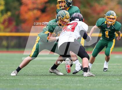 Thumbnail 2 in Alexander vs. Bolivar-Richburg (Section 5 Class D Semifinal) photogallery.
