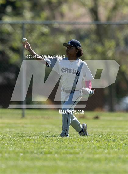 Thumbnail 1 in Calistoga @ Credo photogallery.
