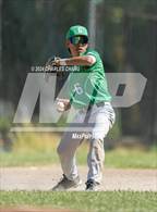 Photo from the gallery "Calistoga @ Credo"