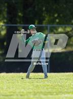 Photo from the gallery "Calistoga @ Credo"