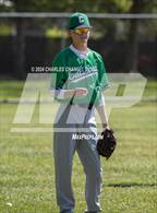 Photo from the gallery "Calistoga @ Credo"