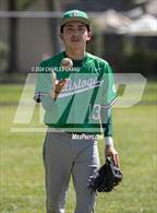 Photo from the gallery "Calistoga @ Credo"