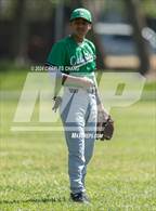 Photo from the gallery "Calistoga @ Credo"