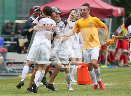 Thumbnail 1 in Cardinal Newman vs. Hammond (Class 3A Final)  photogallery.