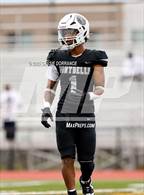 Photo from the gallery "Windsor @ Montbello "