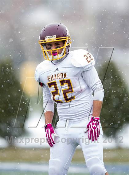 Thumbnail 2 in Wayland vs. Sharon (MIAA Division 3 East Final) photogallery.