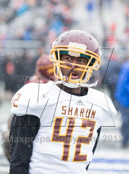 Thumbnail 1 in Wayland vs. Sharon (MIAA Division 3 East Final) photogallery.