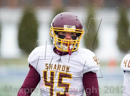 Thumbnail 1 in Wayland vs. Sharon (MIAA Division 3 East Final) photogallery.